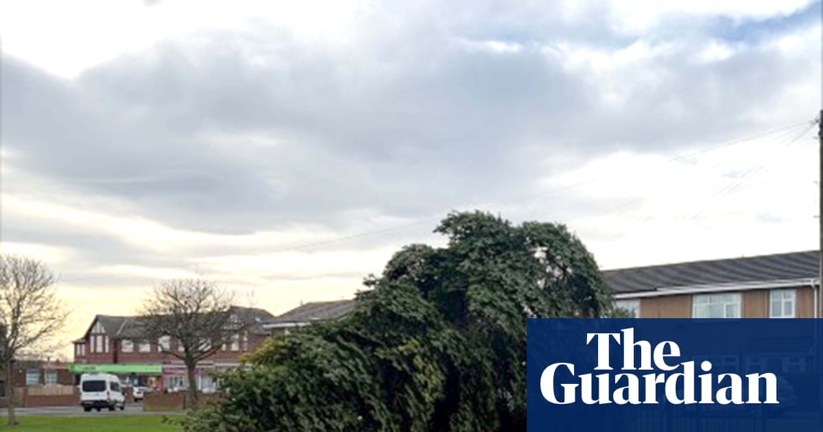 Christmas tree in Durham village chopped down hours after lights switched on | England