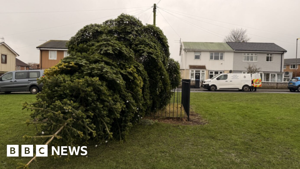 Men arrested after Shotton Colliery Christmas tree cut down