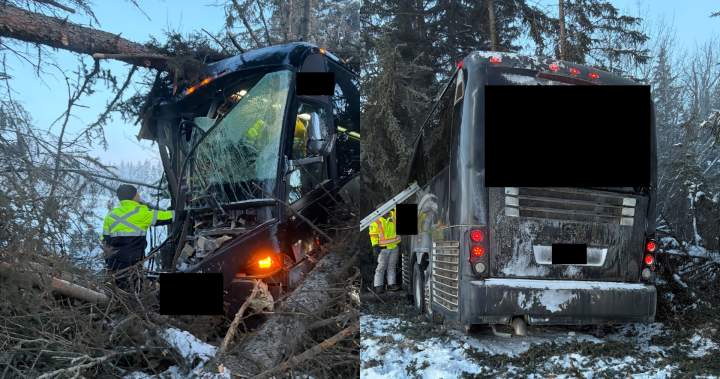 Bus carrying youth hockey team crashes north of Edmonton, 2 in hospital