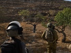 West Bank violence soars with Israeli institutions' complicity — Naharnet