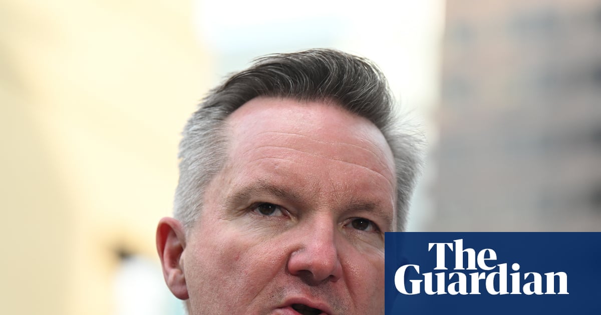 Bowen says Turnbull-era travel expenses rules were changed to simplify them, despite criticism they became broader | Australian politicians' expenses