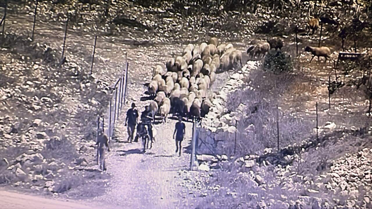 naca_W'BANK WINEMAKER POD_SBS_ID_31725306.mp3