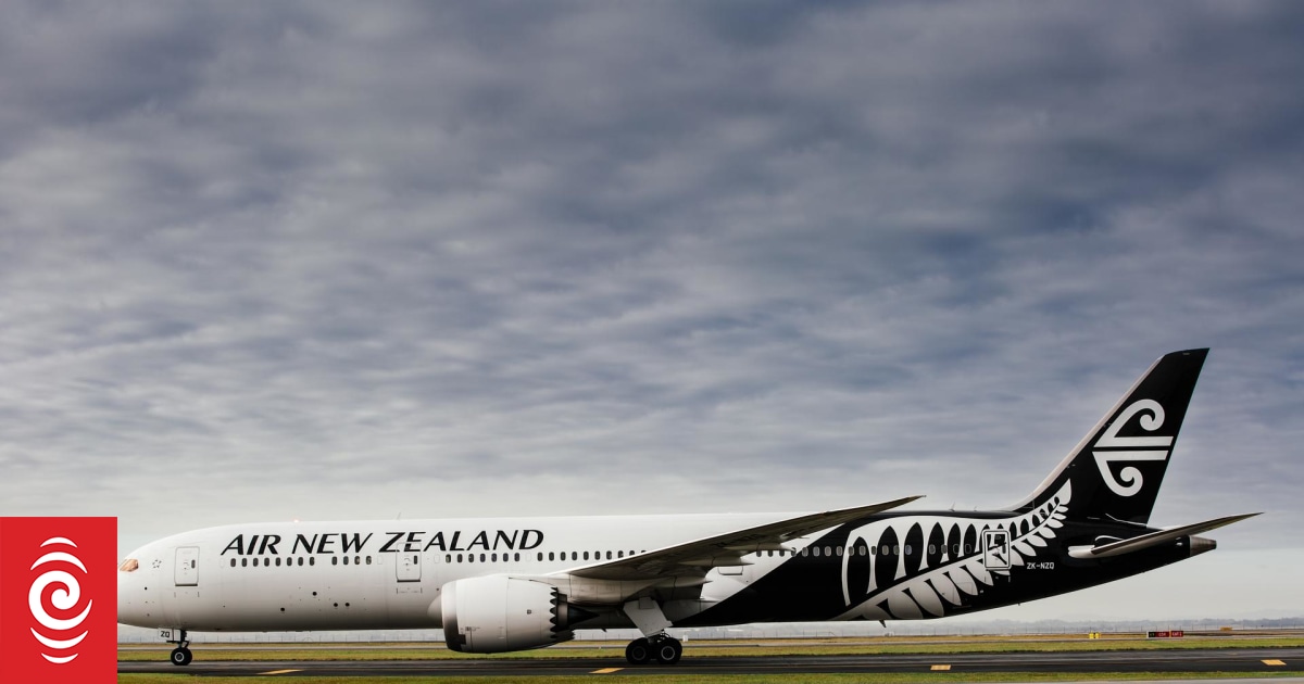 Air NZ cabin crews call off strike before Christmas