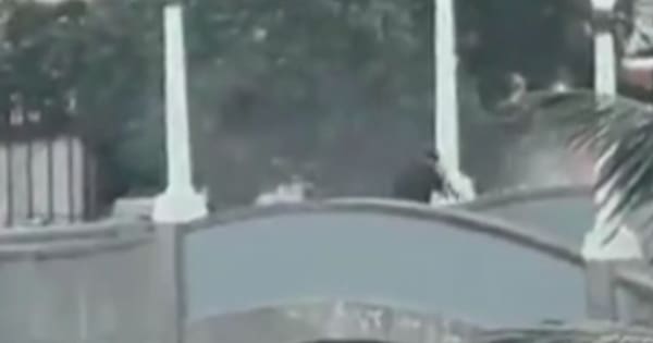 At least 12 killed in Bondi Beach terrorist mass shooting