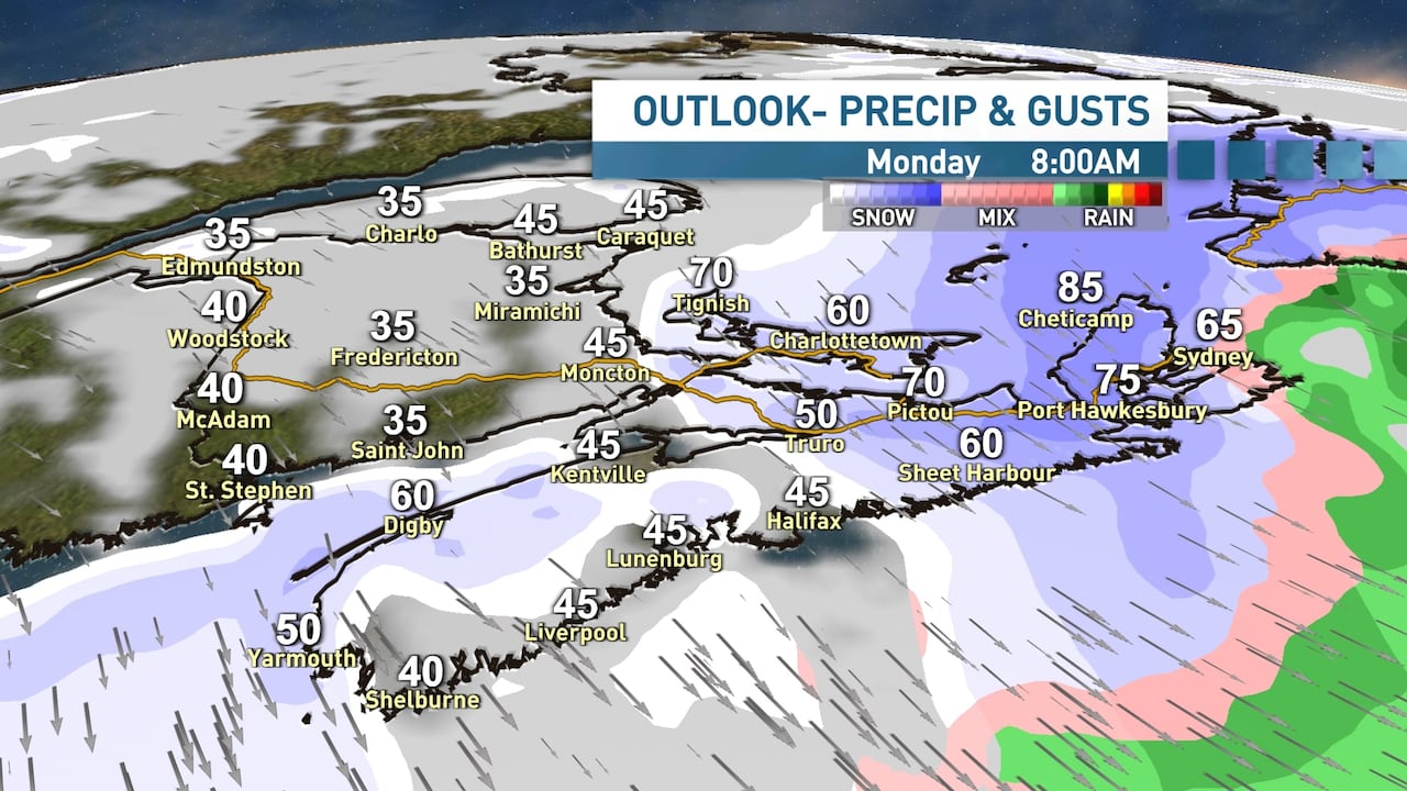This map shows wind strength and expected precipitation types at 8 a.m. AT Monday.