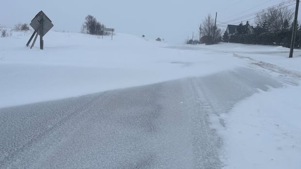 Winter storm could dump up to 40 centimetres of snow on parts of P.E.I.