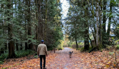 Is the Pacific Northwest ready for a wave of climate migration?