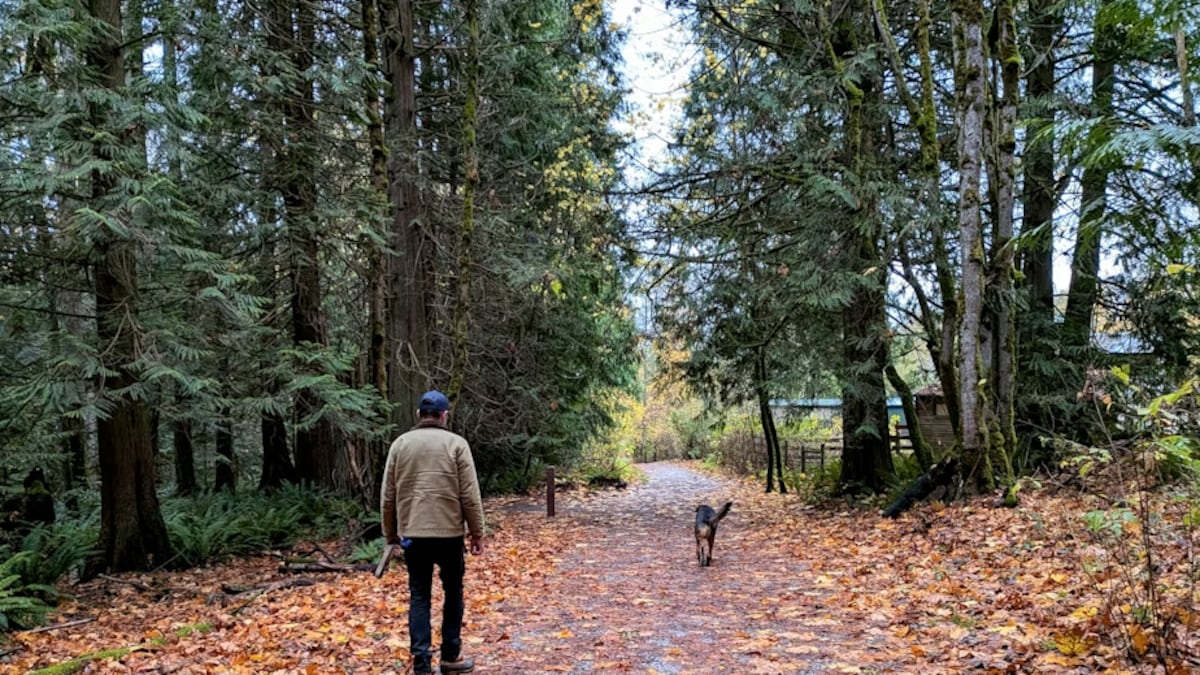 Is the Pacific Northwest ready for a wave of climate migration?