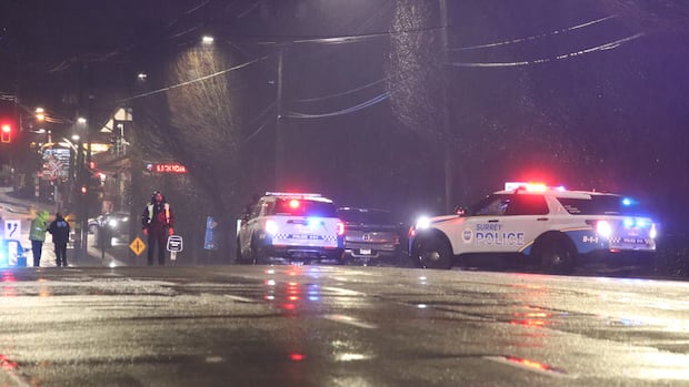 Woman dies after being hit by police vehicle in Surrey, B.C.: police