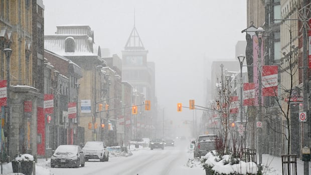 Heavy snow squalls cap off frigid weekend in London with 20 to 40 cm possible