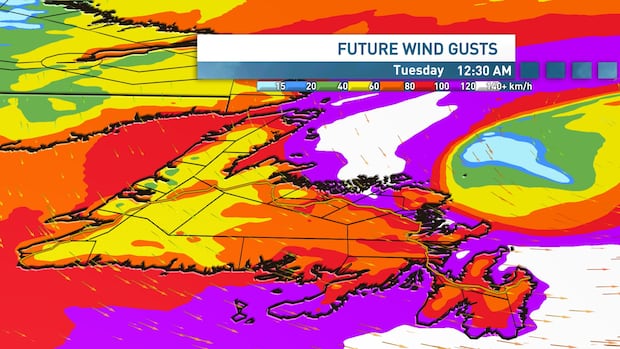Winter system could bring more snow, hurricane-force gusts to parts of N.L.