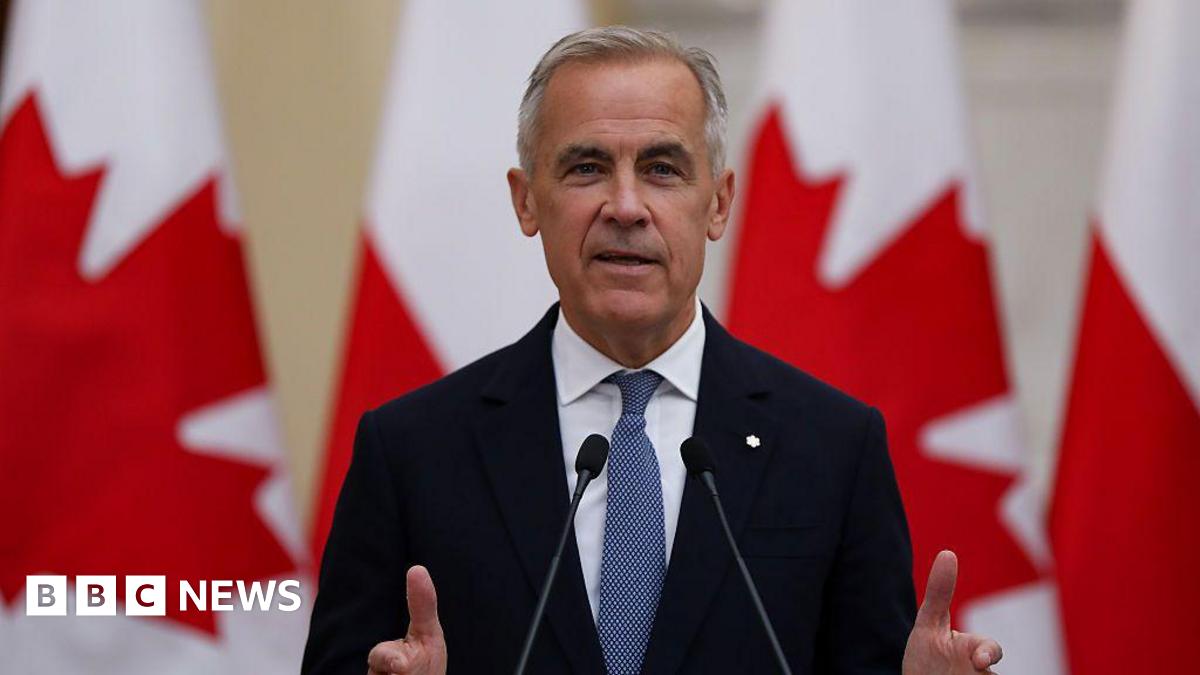 A photo of PM Mark Carney speaking at a podium. Behind him is a row of Canadian flags. He is gesturing with both of his hands mid-speech. He has short grey hair and is wearing a suit with patterned blue tie.