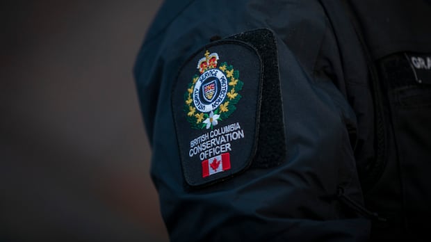 $50K fine, 10-year ban issued after B.C. man illegally hunts wildlife