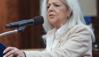 Paladino slammed for Islamophobic statements