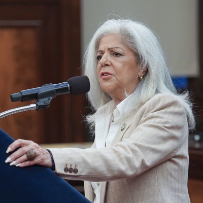 Paladino slammed for Islamophobic statements