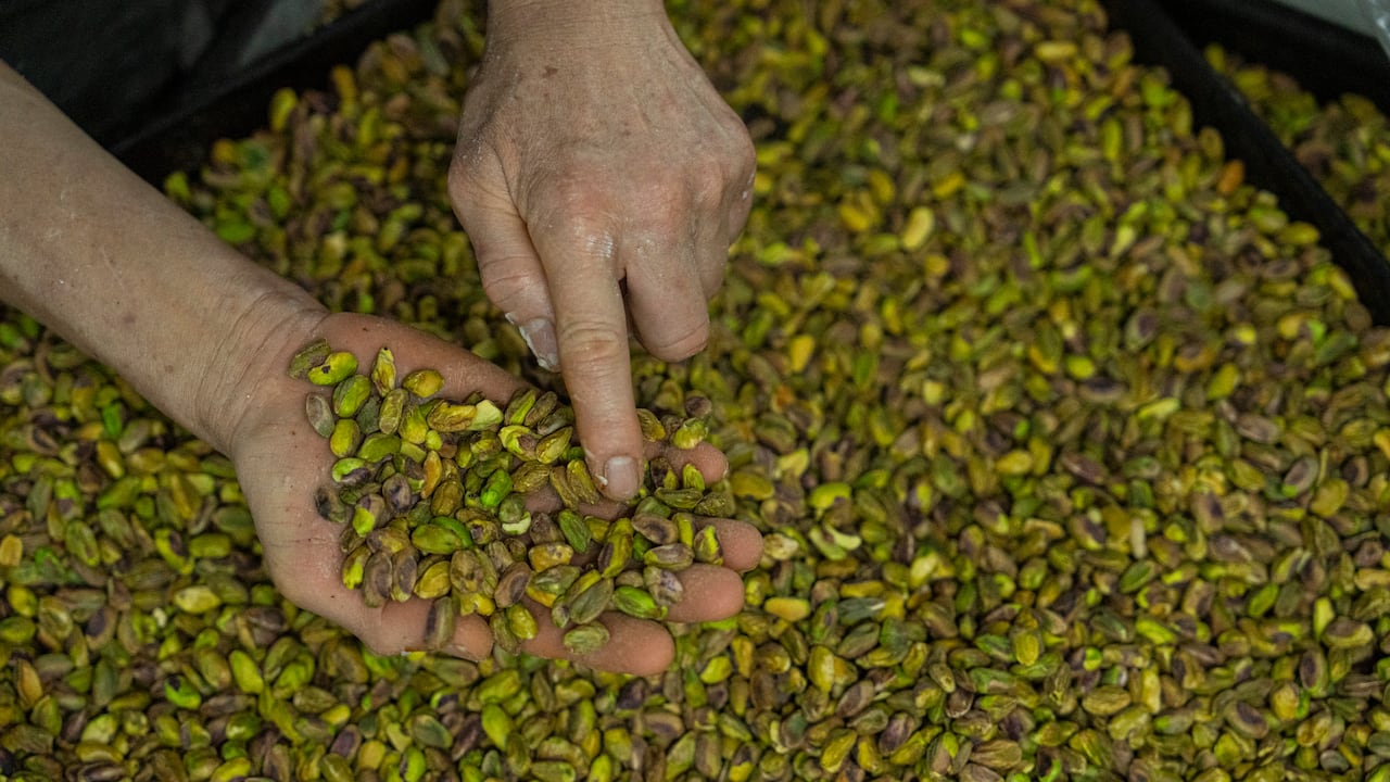 A person holding up a bunch of pistachios, with a giant pile of pistachios appearing in the background