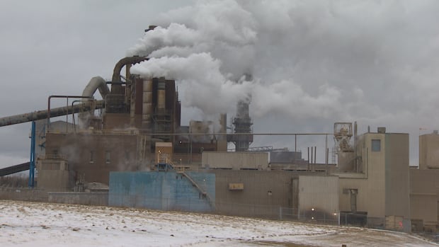 Judge signs off on Bragg bid for Northern Pulp timberlands