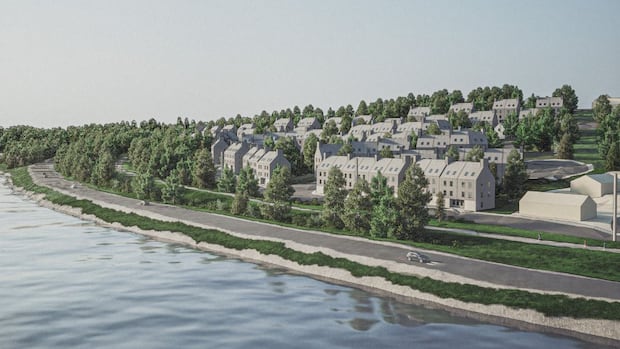 Lunenburg town council halts development of municipal lands