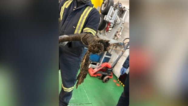 Man accused of severing undersea cable between Nova Scotia and Newfoundland