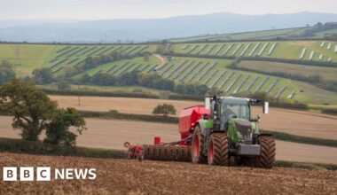 'Bewildered' farmers need new deal to be profitable