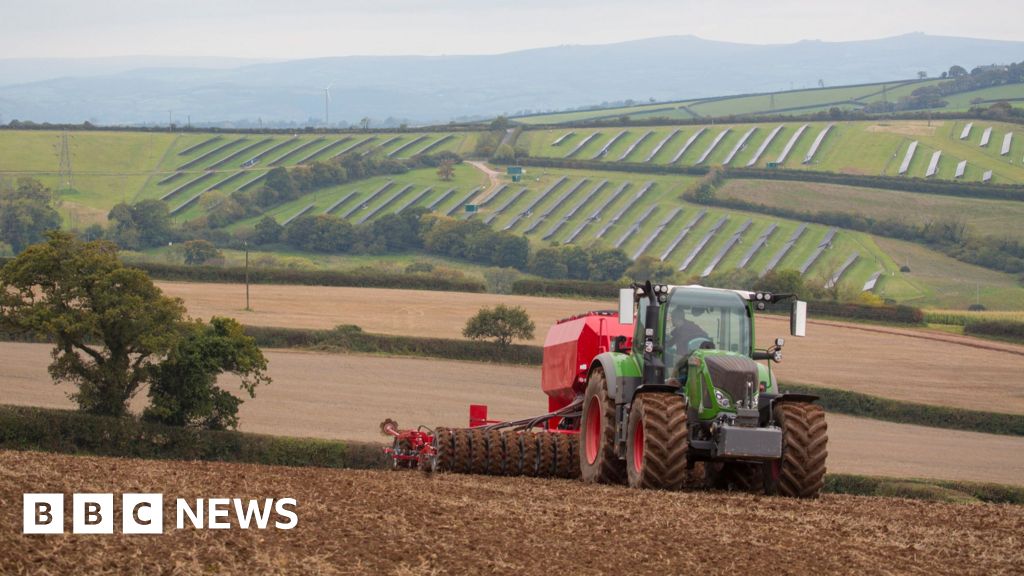 'Bewildered' farmers need new deal to be profitable