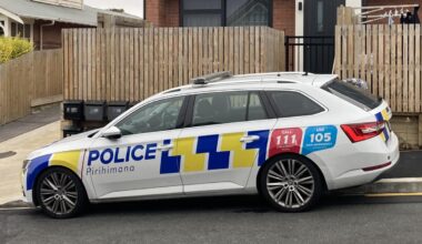 Armed police guarding Dunedin properties