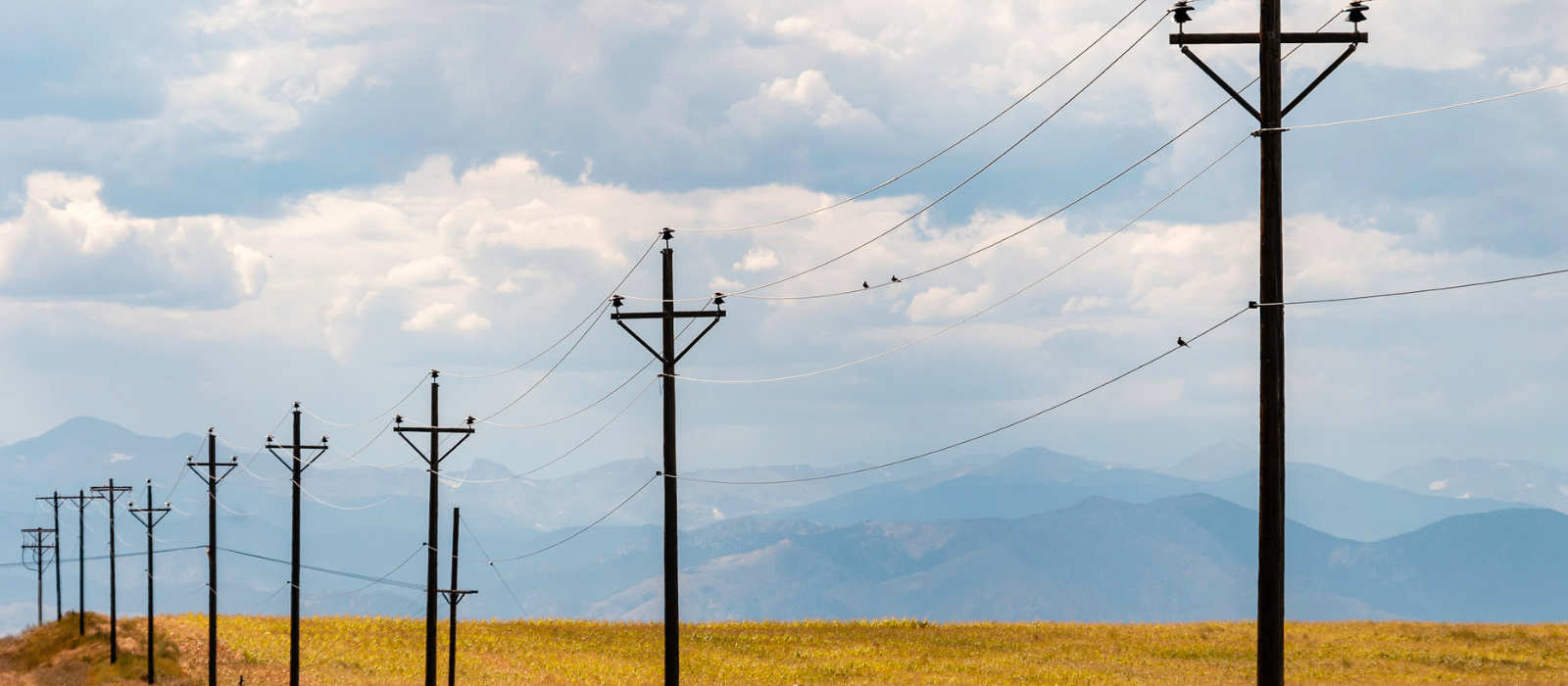 Douglas County residents: Prepare for wildfire and potential power outages Friday, Dec. 19