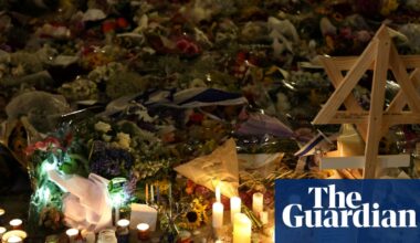 Tony Burke has ‘full confidence’ in spy agency despite questions over Bondi attack | Bondi beach terror attack