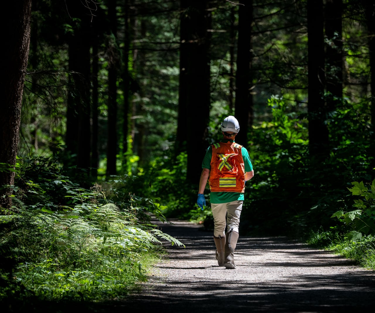 A worker wearing a bright orange vest, with a neon yellow X on the back, and a white helmet walks down a path in a forest on a sunny day