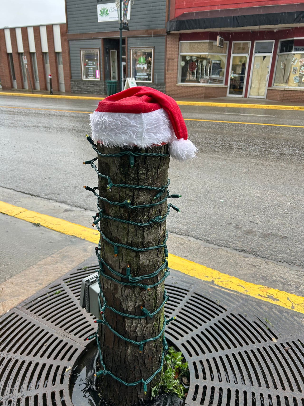 A tree stump with lights and a santa hat