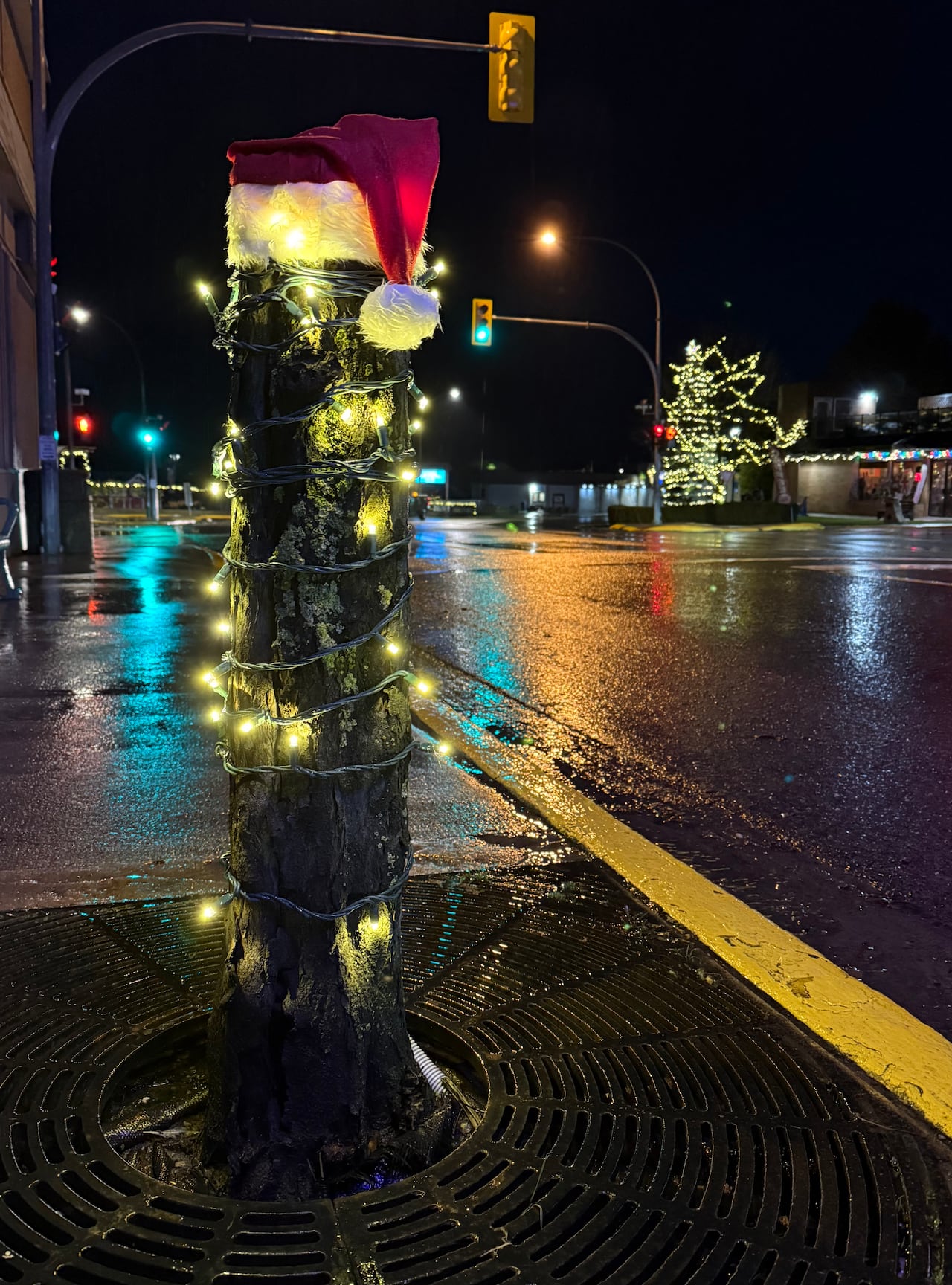 a tree stump with white lights and a santa hat