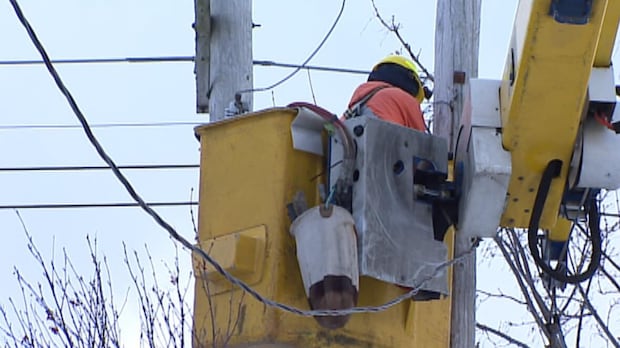 Crews work to restore power after high winds once again leave parts of N.L. in the dark