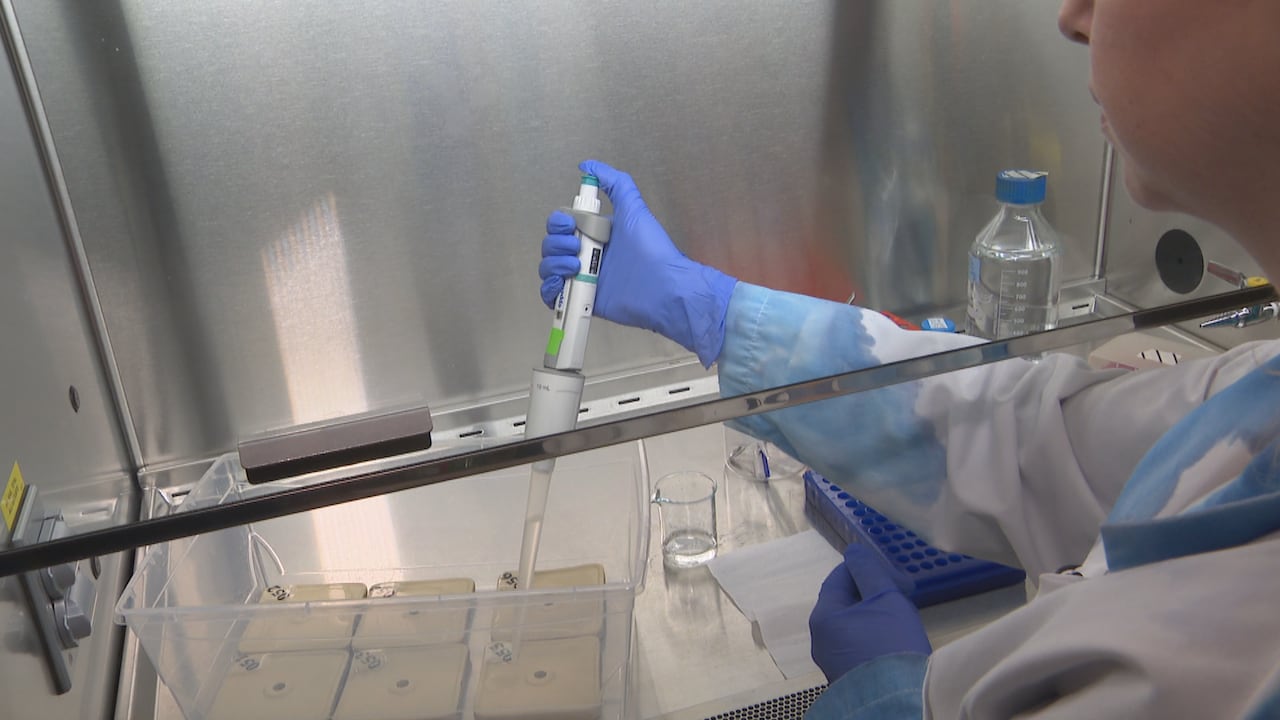 Numbered tiles have a clear solution injected upon them with a large syringe.