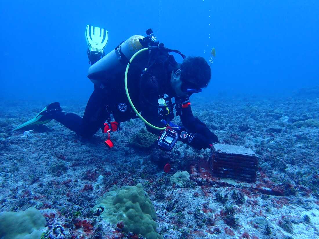 A researchers retrieves an ARMS device.