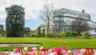 One man is banking every native seed in Ireland