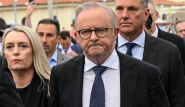 Pressure on Albanese mounts as Labor MPs join calls for royal commission