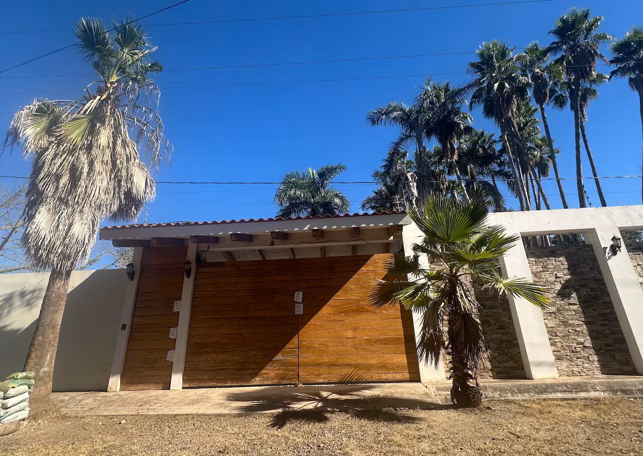 A high walled house with a gate and palm trees rising behind the wall.