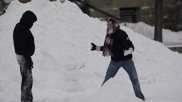 Calls for roadside assistance spike following extreme winter weather in Winnipeg