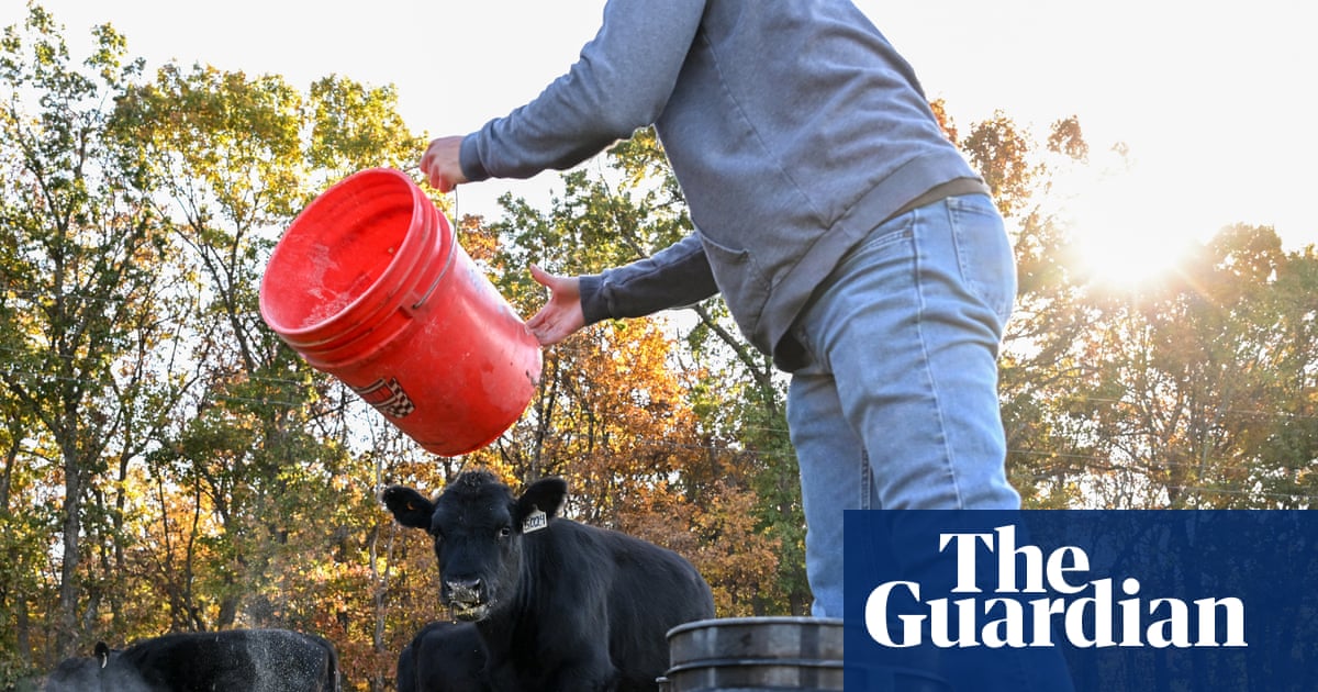 US farmers say Trump’s $12bn package not enough to undo damage from tariffs | Business