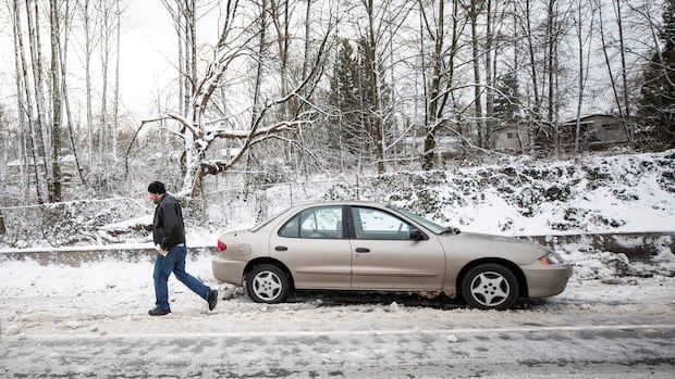 Gusty winds, heavy snowfall and ‘bitterly cold air’ forecast for parts of B.C.