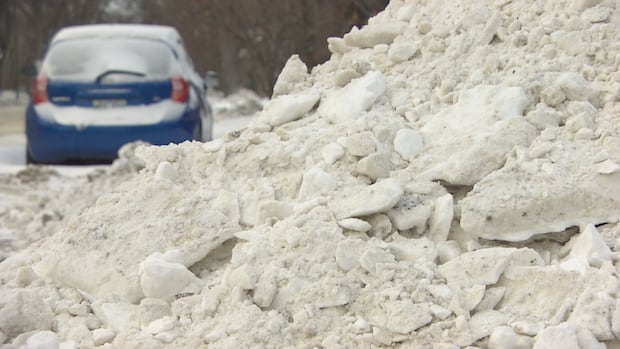 'Not fair' when vehicles violate Winnipeg parking ban, says city councillor mulling higher fines