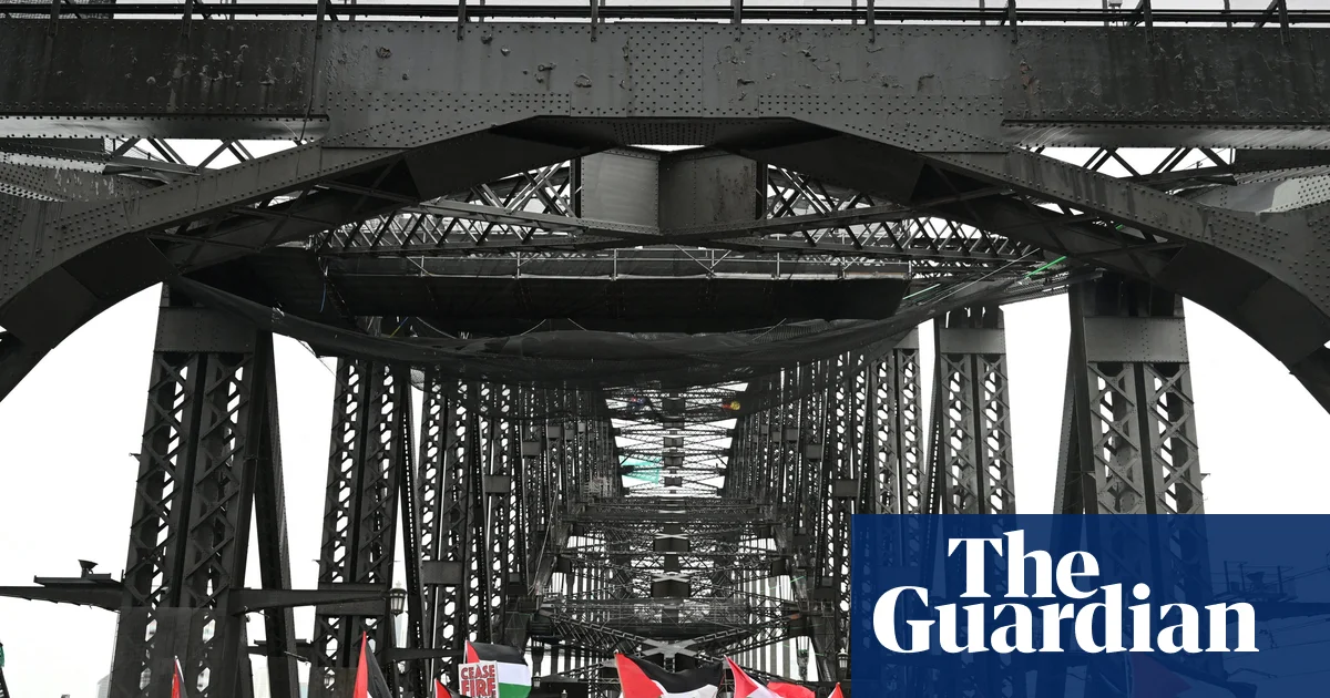 Activist groups to challenge NSW protest laws on free speech grounds as Chris Minns says he’s ‘confident’ in reforms | New South Wales politics