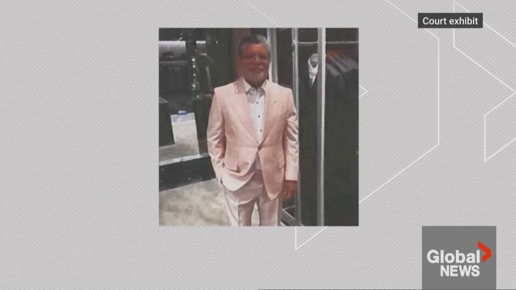 Click to play video: 'Ryan Wedding’s alleged ‘cocaine lawyer’ pitches plan if released at bail hearing'