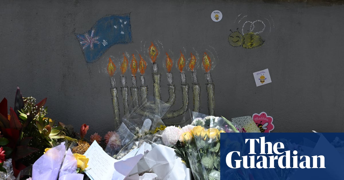 Australia announces special honours list to recognise acts of bravery during the Bondi attack | Bondi beach terror attack