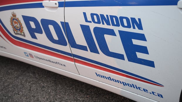 Pedestrian dead after being struck in north London parking lot