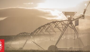 Nitrates in water: ECan's rule-making fell short of law over allowing discharges, High Court rules