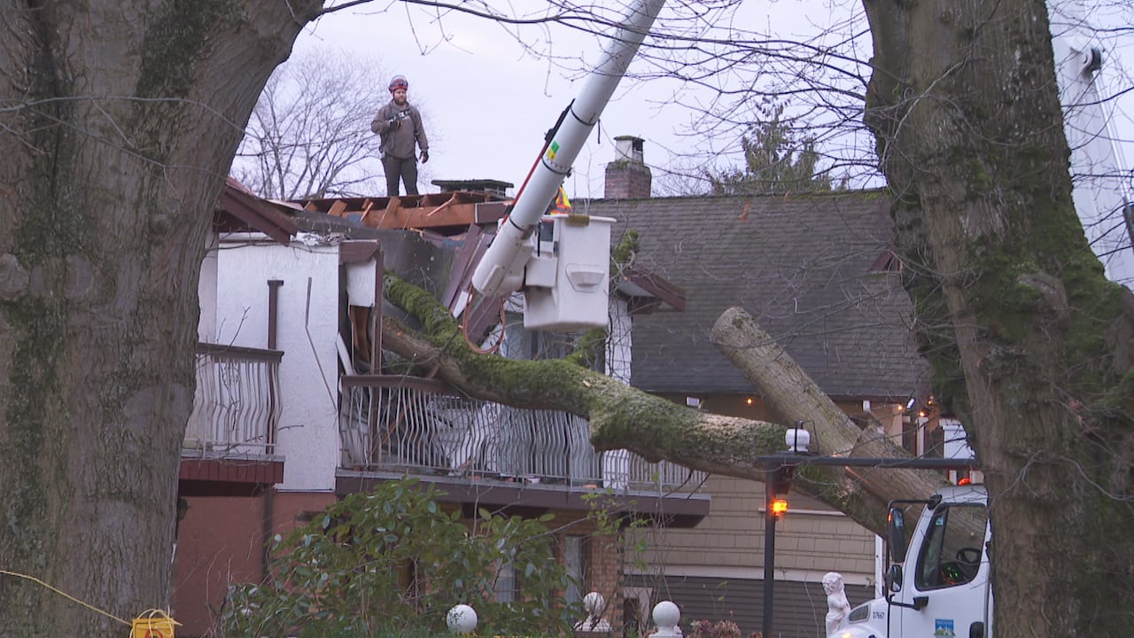 A worker stands on the roof of a house where a tree has fallen onto and through the upper floor.