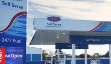 Gull, NPD merger will drive down gas prices, companies say