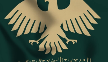 Special Report - One Year into the “New Syria”: Between Promises and Reality