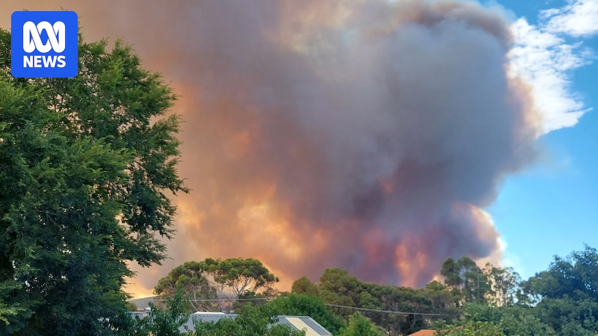 Multiple bushfires threaten homes north and south of Perth, triggering power outages